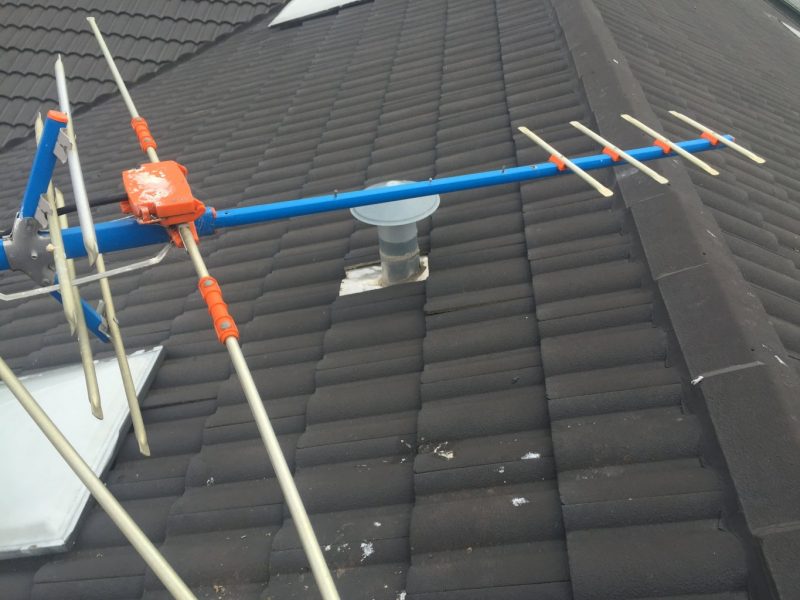 Birds destroy antenna in Lilydale, local franchisee flies to the rescue