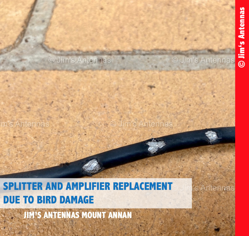 SPLITTER AND AMPLIFIER REPLACEMENT SOUTH-WEST OF SYDNEY DUE TO BIRD DAMAGE