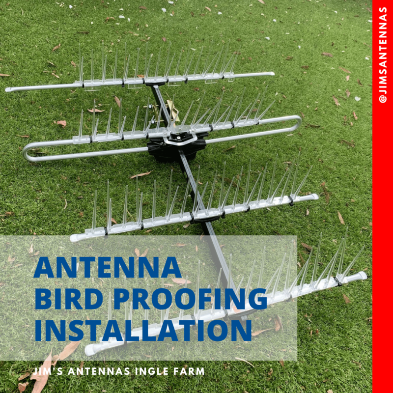 Bird proofing Antenna Installation in Golden Grove!