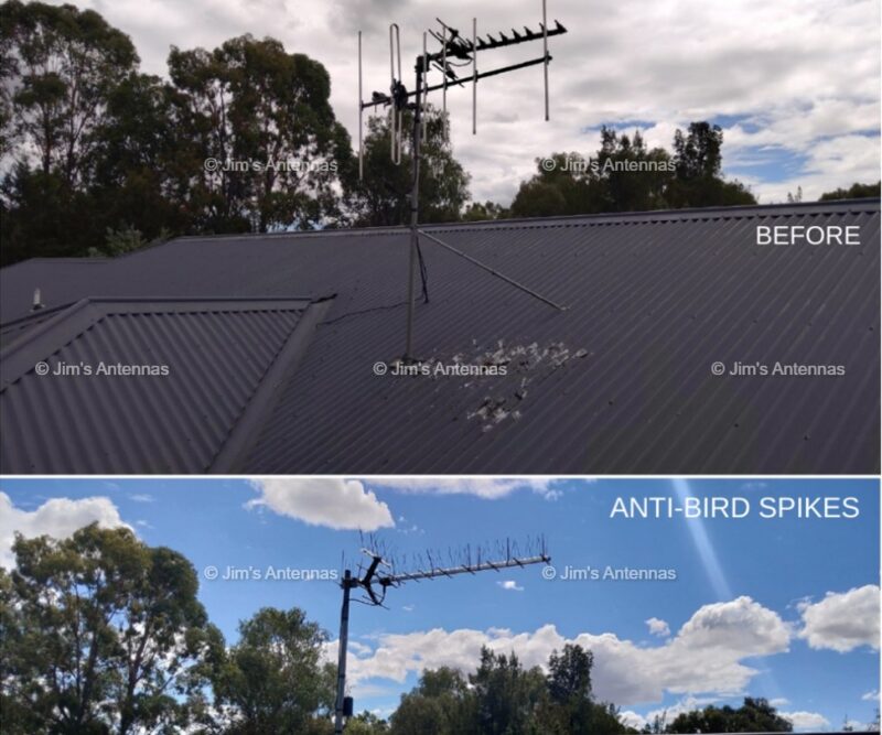Need your antenna looked at? Why not add anti-bird spikes too?