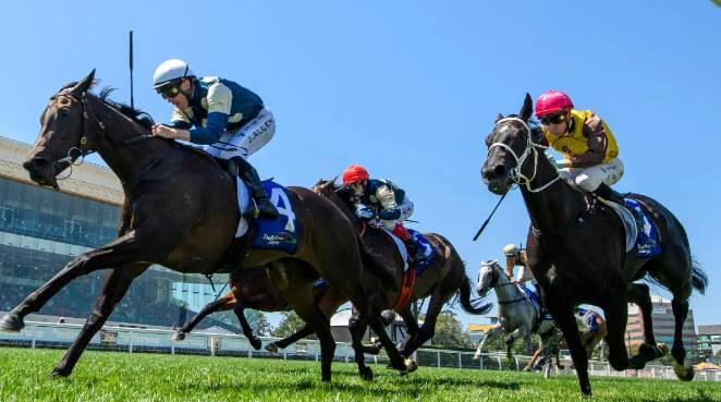 Stay Connected to Every Race: Prepare Your TV and WiFi for the Spring Racing Carnival.