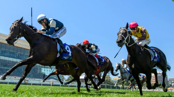 Stay Connected to Every Race: Prepare Your TV and WiFi for the Spring Racing Carnival.